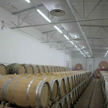 Holiday Podere Torricella