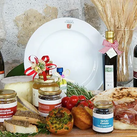 Holiday Podere Torricella Corbara (Umbria)